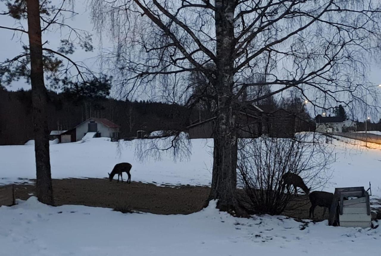 Guestrooms At Forest Family Home Ytterhogdal エクステリア 写真